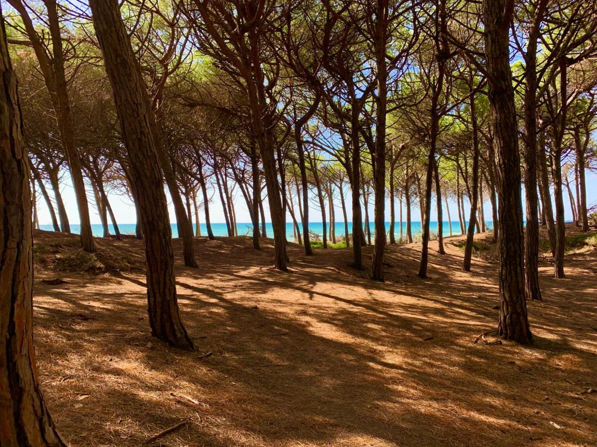 مبيت وإفطار كاسال ماريتيمو Casa Cerboneschi المظهر الخارجي الصورة